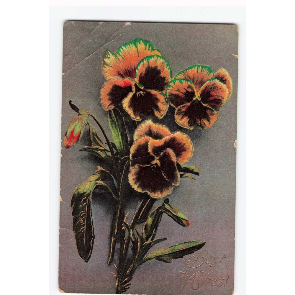 Vintage 1912 Pansy Flower Best Wishes Postcard Made in Germany Serie 2390